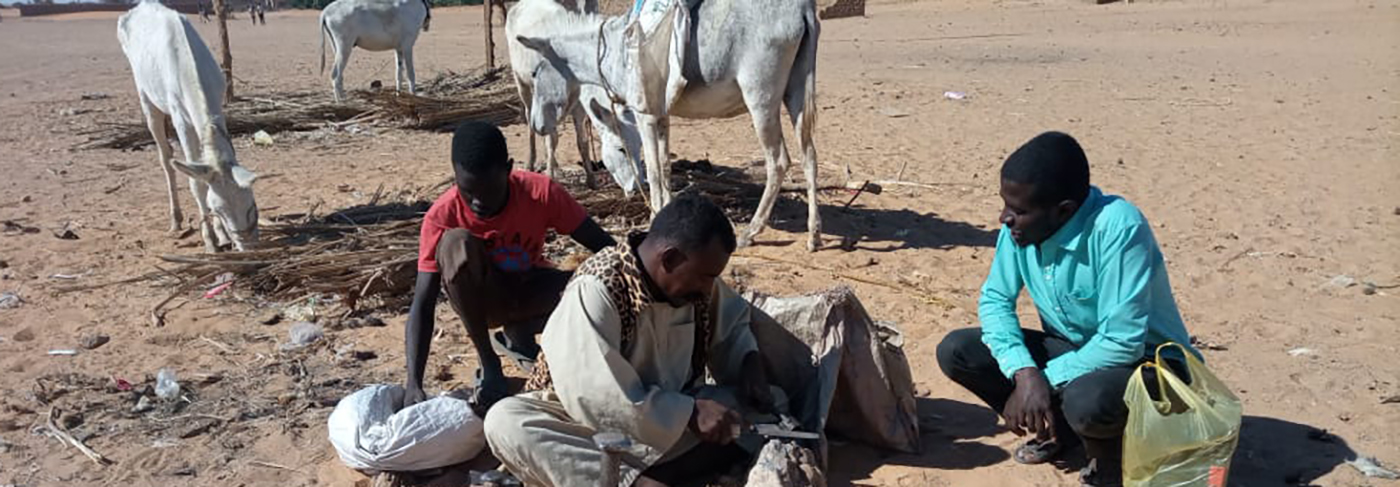 Three people sitting close to the ground talking in Sudan with livestock animals behind them
