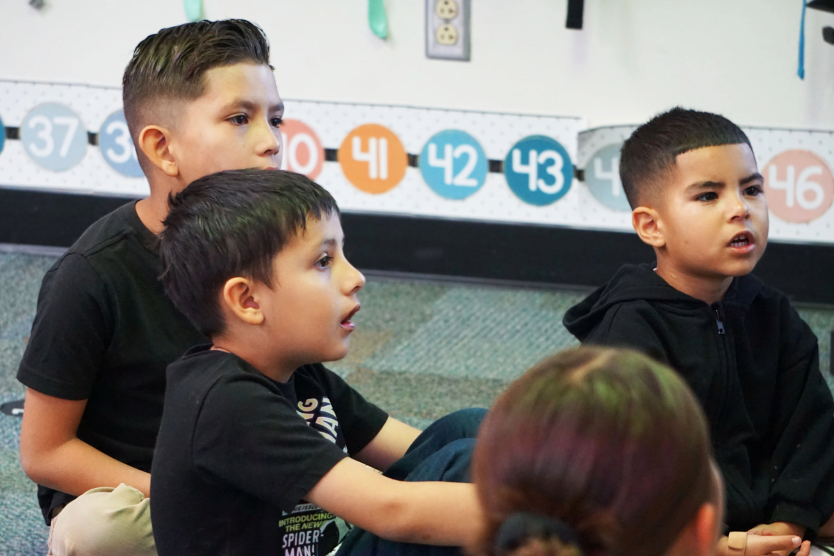 Three young boys sit attentively listening in a classroom.